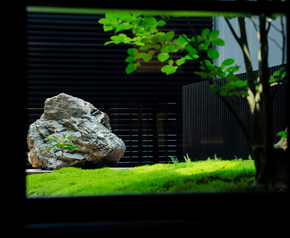 garden kutsu/迎宾石和松树